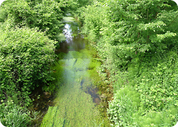 La Beauce, en Eure et Loir