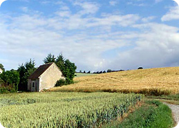 La Beauce, en Eure et Loir